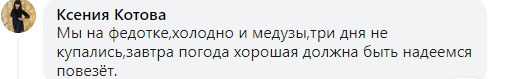 Комарі, медузи і холодне море: туристи розповіли, чи варто їхати на Федотову косу і в Степок