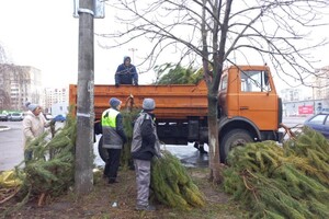 Чтоб не досталось никому: в Одессе торговцы полили брошенные елки солярой
