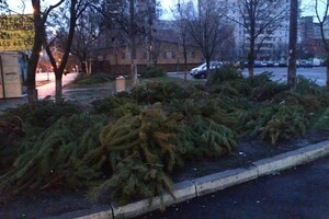 Чтоб не досталось никому: в Одессе торговцы полили брошенные елки солярой