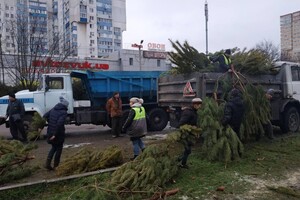Чтоб не досталось никому: в Одессе торговцы полили брошенные елки солярой