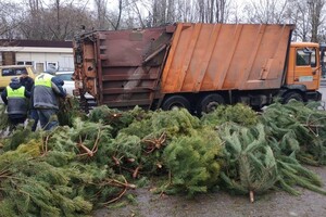 Чтоб не досталось никому: в Одессе торговцы полили брошенные елки солярой