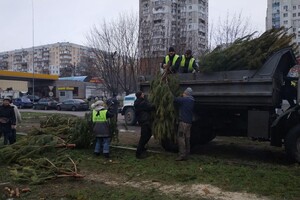 Чтоб не досталось никому: в Одессе торговцы полили брошенные елки солярой