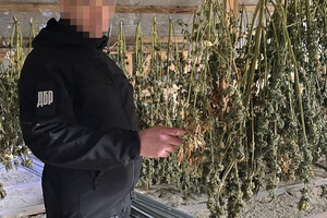 Диверсанты и наркоторговцы: в Одесской области прошла спецоперация 