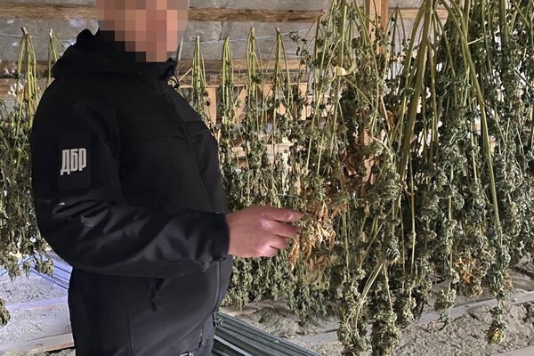 Диверсанты и наркоторговцы: в Одесской области прошла спецоперация 