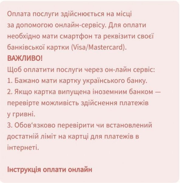 У Берліні можна оформити український паспорт: де та як записатися