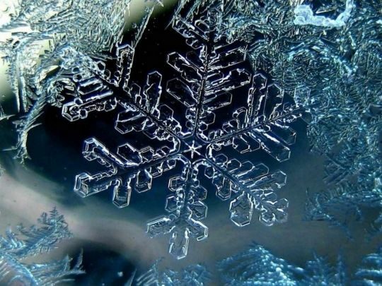 Чи справді немає двох однакових сніжинок: вчені дали пояснення