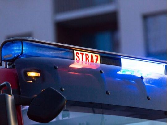 15-річний чеський школяр втік з дому, щоб воювати в Україні