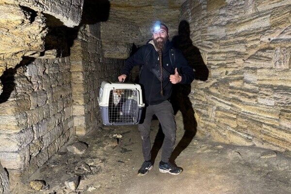 В Одессе спасли лиса из катакомб: он попал там в ловушку В Одессе спасли лиса из катакомб: он попал там в ловушку