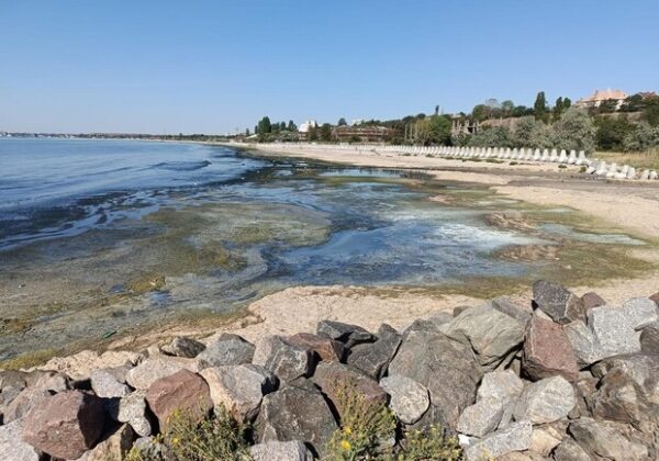Почернение моря в Одесском районе: что обнаружили экологи Почернение моря в Одесском районе: что обнаружили экологи
