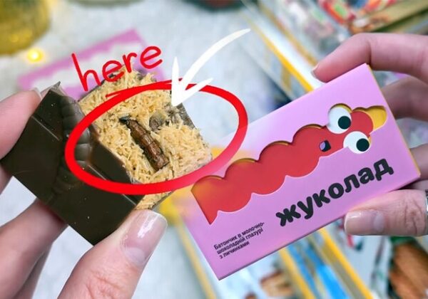 В Украине начали продавать шоколад с настоящими личинками жуков В Украине начали продавать шоколад с настоящими личинками жуков