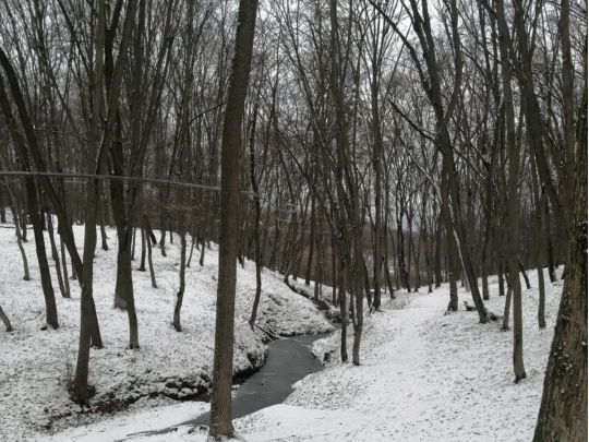 Морози в Україні надовго: що кажуть синоптики про Азійський антициклон та погоду у вихідні