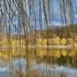 Березень продовжує радувати: яку погоду обіцяють синоптики українцям наступного тижня