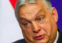 Мільярди зникли — ЄС вимагає справедливості: чиновників Орбана можуть притягнути до відповідальності